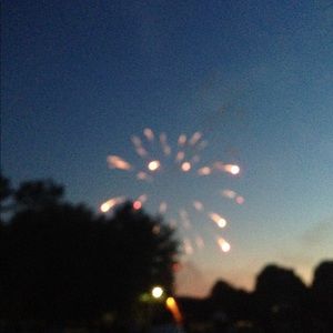 Meet your Posher, Rosie